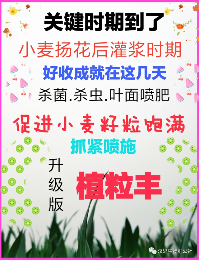 關(guān)鍵時(shí)期